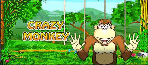 Crazy monkey картинки